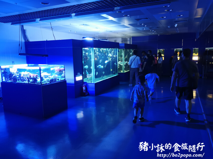 屏東。長治》農業生物科技園區觀賞水族展示廳。觀賞魚集大成