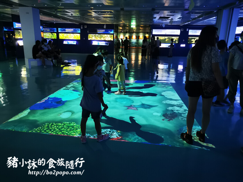 屏東。長治》農業生物科技園區觀賞水族展示廳。觀賞魚集大成