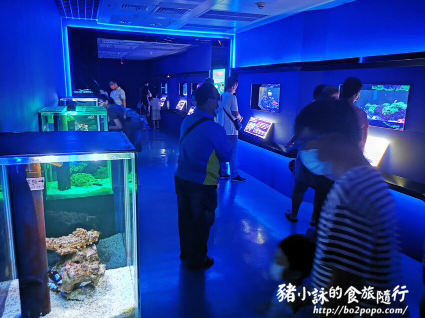 屏東。長治》農業生物科技園區觀賞水族展示廳。觀賞魚集大成