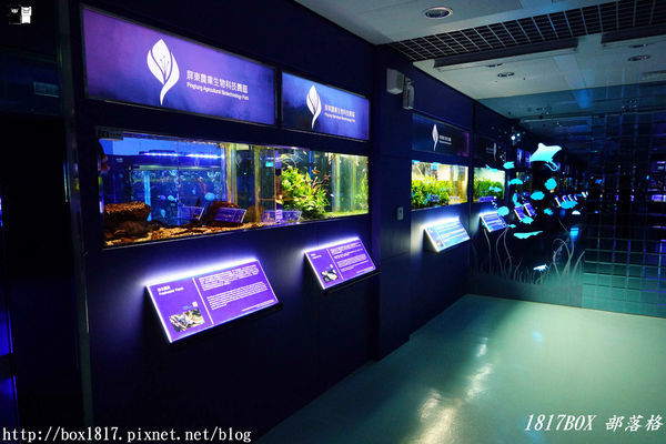 【屏東。長治】農業生物科技園區。觀賞水族展示廳。宛如置身水底世界。感受與上百種珍稀魚蝦美麗的身影共舞