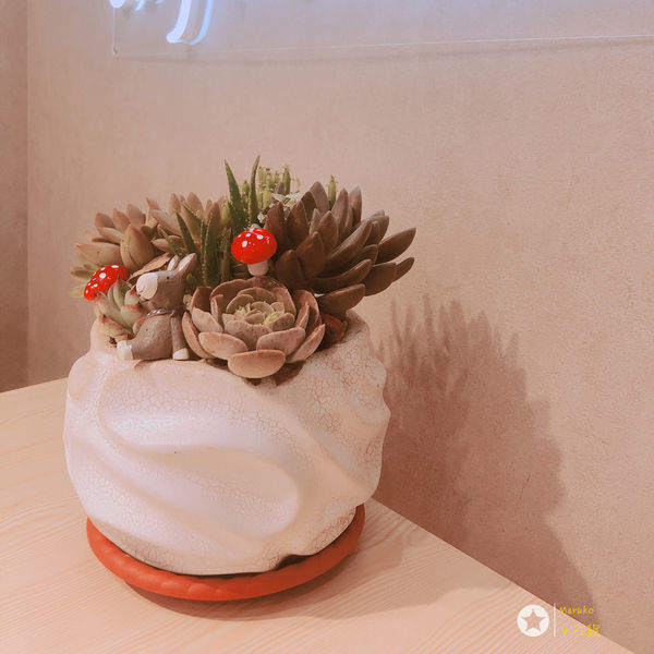 < LiCha芙 > 禮采芙信義北醫店 新店開幕 / 台北101站 2019.06.18