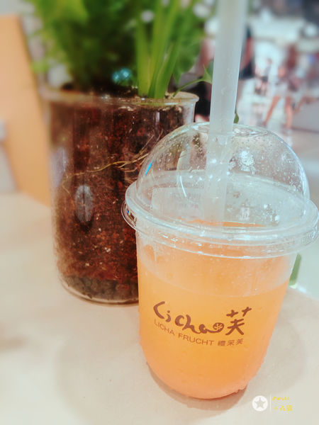 < LiCha芙 > 禮采芙信義北醫店 新店開幕 / 台北101站 2019.06.18