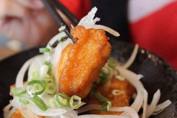 64901611_304509840251632_6590263368773271552_n 64901611_304509840251632_6590263368773271552_n