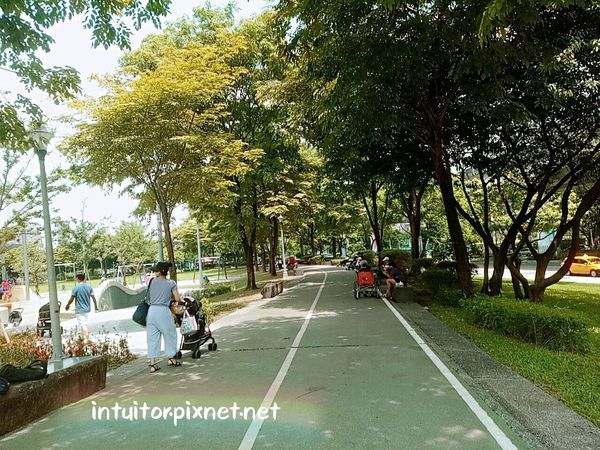 華山大草原遊戲場樹蔭.jpg 華山大草原遊戲場樹蔭.jpg