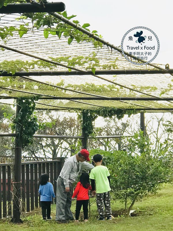 羊稠休閒農場餐廳｜台式熱炒滋味好，青青草地真悠閒，櫻花季一起賞花去！ @魚兒 x 牽手明太子的「視」界旅行