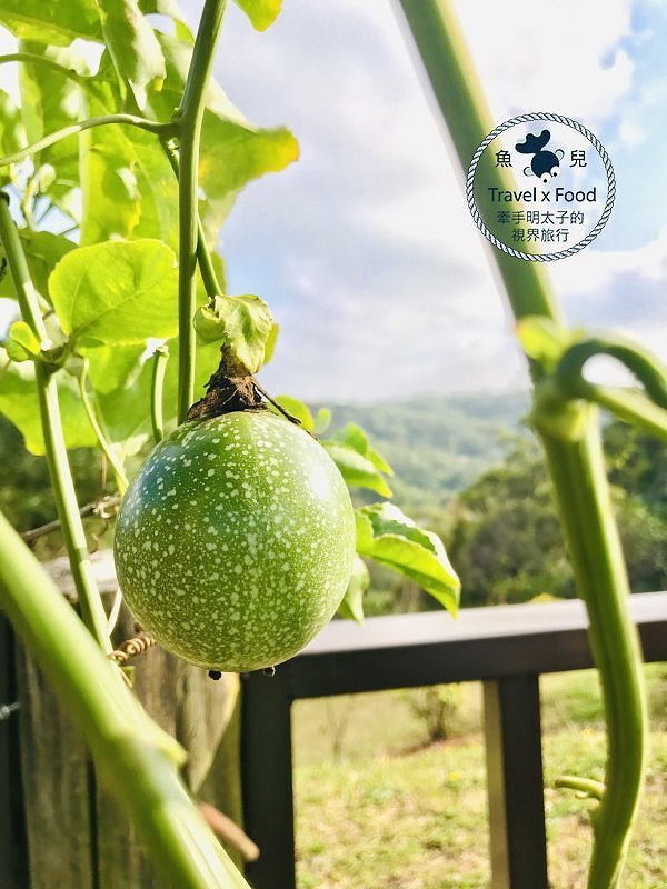 羊稠休閒農場餐廳｜台式熱炒滋味好，青青草地真悠閒，櫻花季一起賞花去！ @魚兒 x 牽手明太子的「視」界旅行