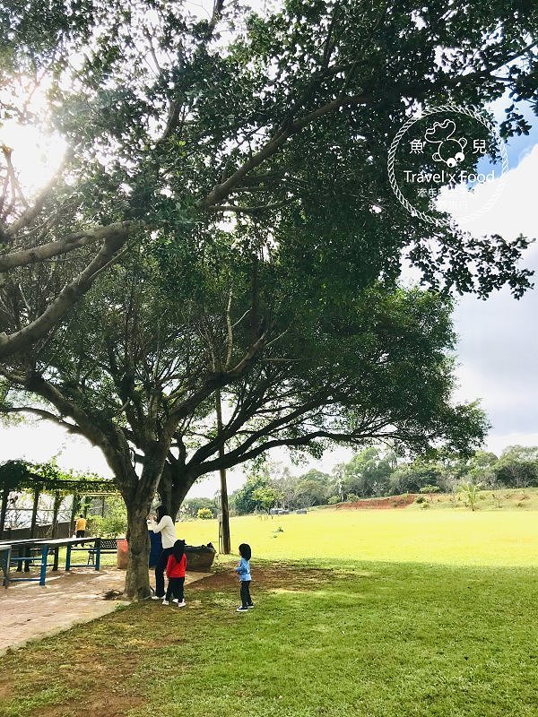 羊稠休閒農場餐廳｜台式熱炒滋味好，青青草地真悠閒，櫻花季一起賞花去！ @魚兒 x 牽手明太子的「視」界旅行
