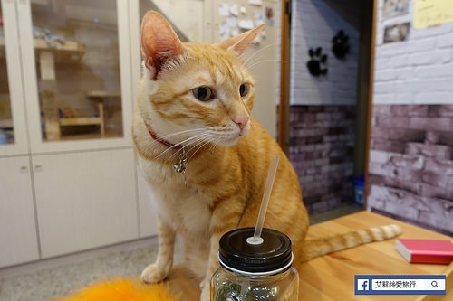 高雄免費景點》百年老品牌新開幕觀光工廠 舊振南漢餅文化館 DIY烘焙、下午茶、美拍一次滿足 - 艾莉絲愛旅行