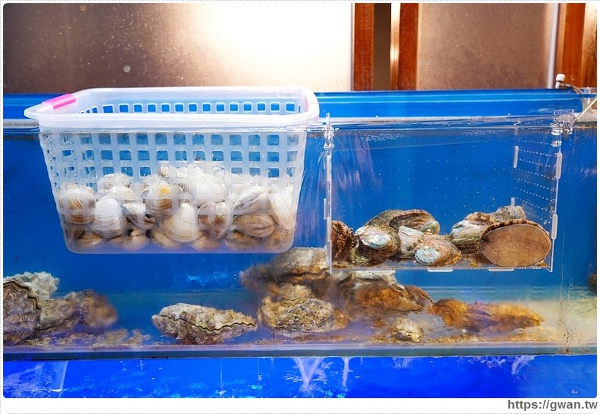 台中首見漂浮松阪豬就在千波苑鍋物，火鍋270元起還可免費停車