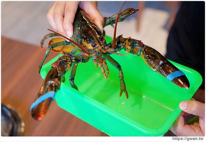 沙鹿新開火鍋店,火鍋套餐最低不用300元還可以免費停車!也有現撈海鮮和日本和牛喔~