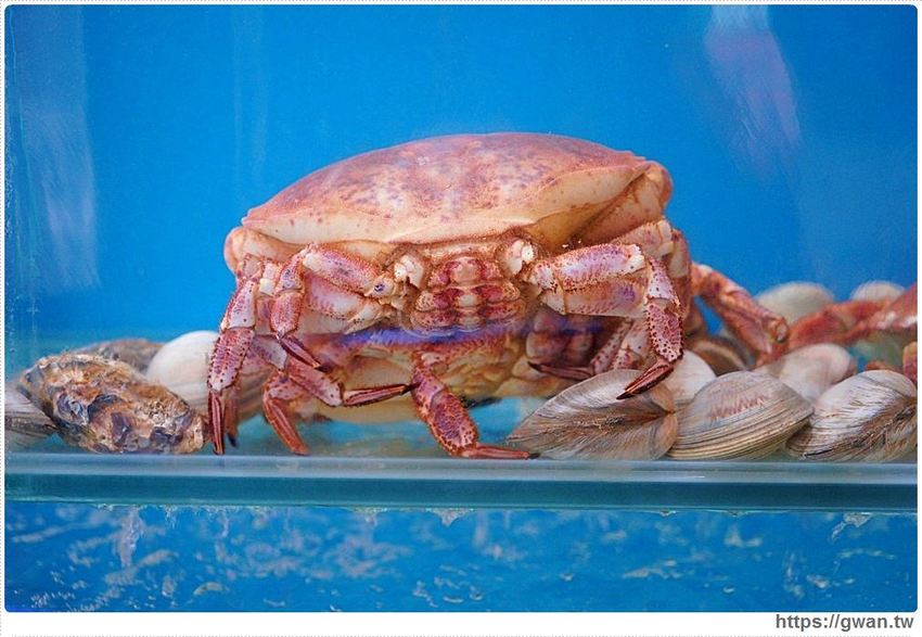 沙鹿新開火鍋店,火鍋套餐最低不用300元還可以免費停車!也有現撈海鮮和日本和牛喔~