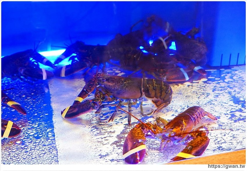 台中首見漂浮松阪豬就在千波苑鍋物，火鍋270元起還可免費停車