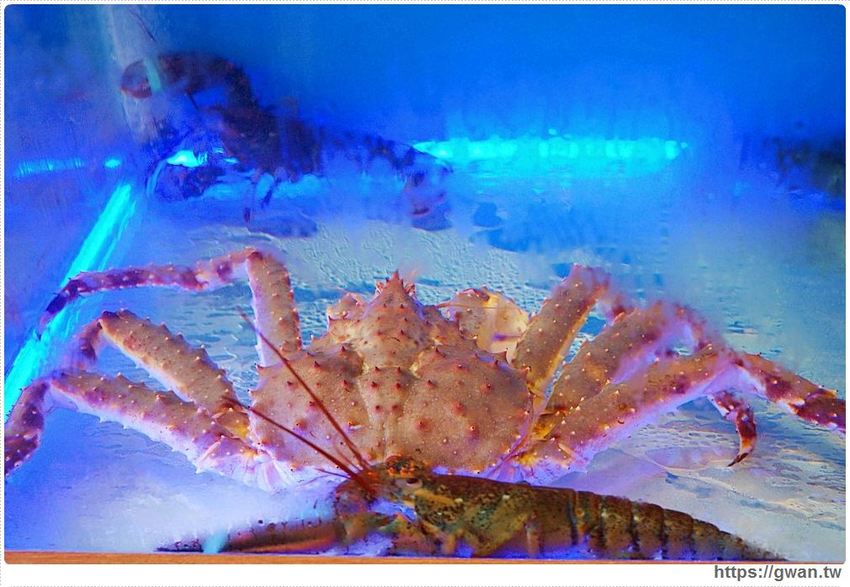 沙鹿新開火鍋店,火鍋套餐最低不用300元還可以免費停車!也有現撈海鮮和日本和牛喔~