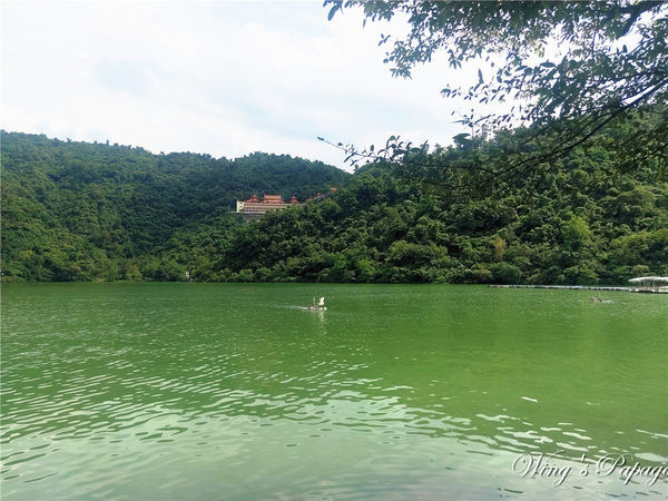 IMG20190519141731.jpg