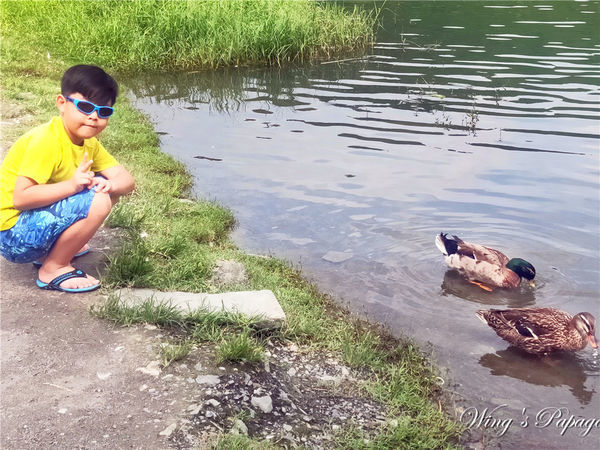 IMG20190519142038.jpg