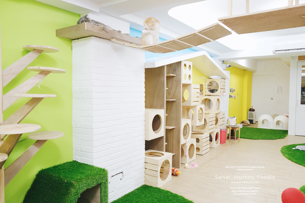 台中咖啡廳 科博館美食 咪奴咖啡廳 咖啡廳推薦 貓咪咖啡廳 Saisai Journey 05.png