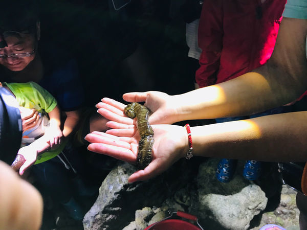 《恆春住宿》亞森川渡假民宿|夜間潮間帶探險與古城導覽