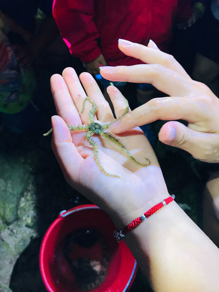 《恆春住宿》亞森川渡假民宿|夜間潮間帶探險與古城導覽