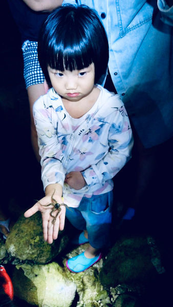 《恆春住宿》亞森川渡假民宿|夜間潮間帶探險與古城導覽