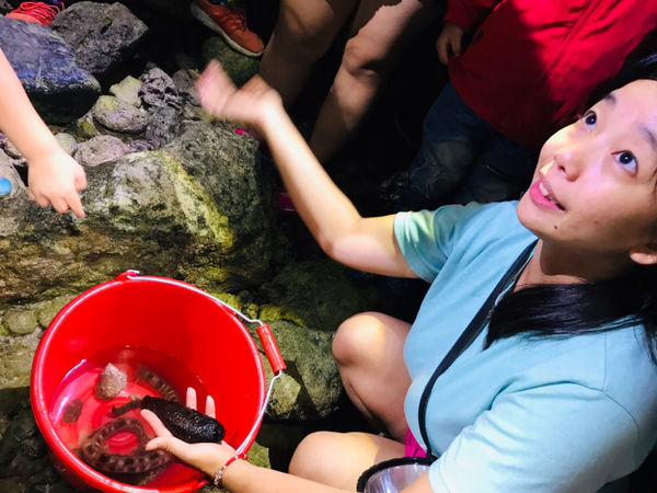 《恆春住宿》亞森川渡假民宿|夜間潮間帶探險與古城導覽