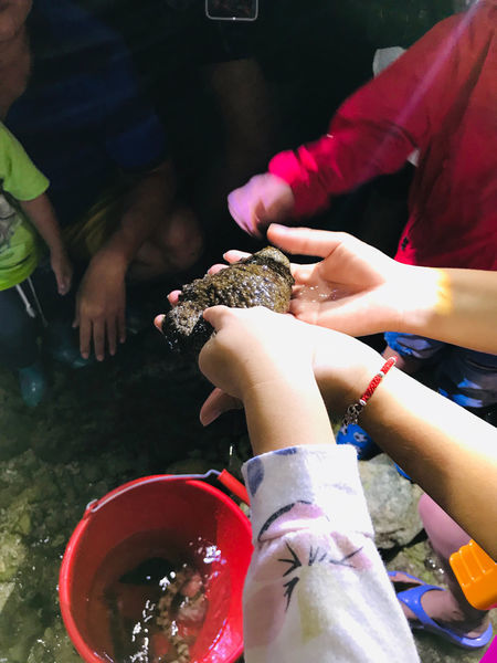 《恆春住宿》亞森川渡假民宿|夜間潮間帶探險與古城導覽