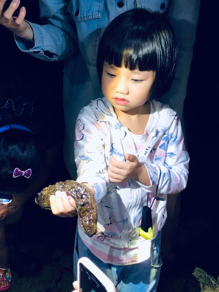 《恆春住宿》亞森川渡假民宿|夜間潮間帶探險與古城導覽