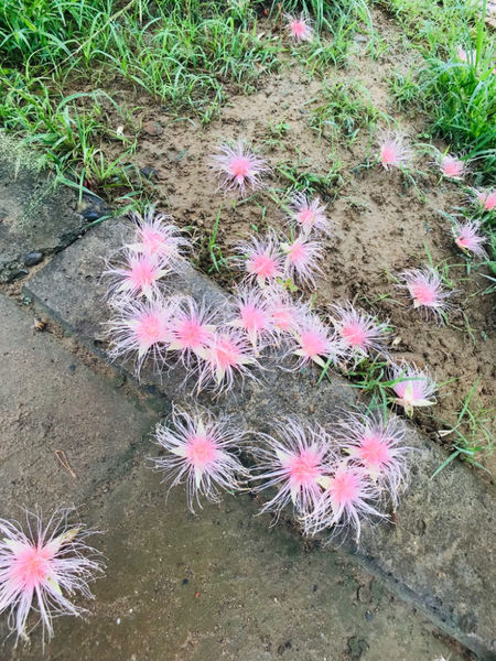 《恆春住宿》亞森川渡假民宿|夜間潮間帶探險與古城導覽