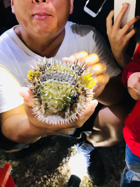 《恆春住宿》亞森川渡假民宿|夜間潮間帶探險與古城導覽