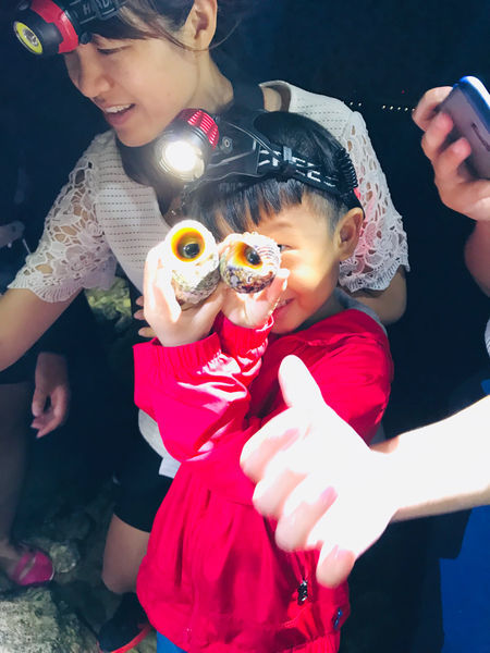 《恆春住宿》亞森川渡假民宿|夜間潮間帶探險與古城導覽