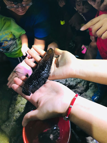 《恆春住宿》亞森川渡假民宿|夜間潮間帶探險與古城導覽