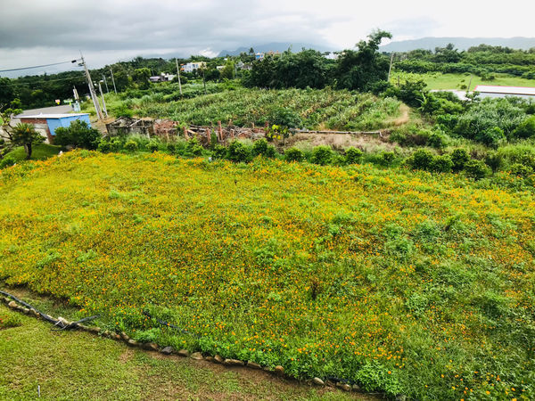《恆春住宿》亞森川渡假民宿|夜間潮間帶探險與古城導覽