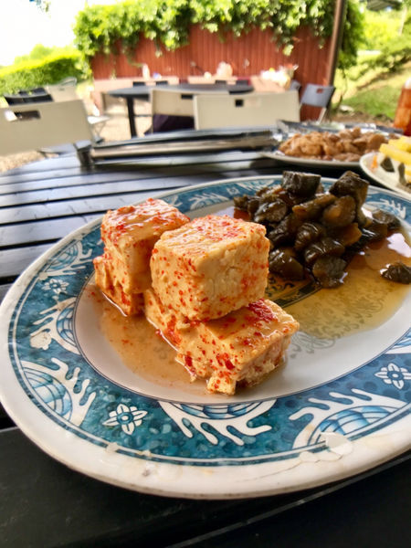 《恆春住宿》亞森川渡假民宿|夜間潮間帶探險與古城導覽