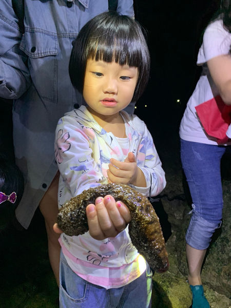 《恆春住宿》亞森川渡假民宿|夜間潮間帶探險與古城導覽