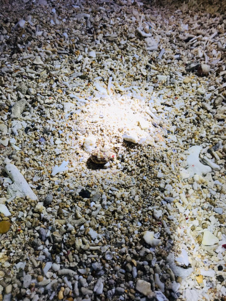 《恆春住宿》亞森川渡假民宿|夜間潮間帶探險與古城導覽