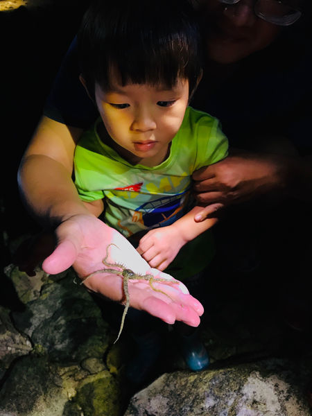 《恆春住宿》亞森川渡假民宿|夜間潮間帶探險與古城導覽