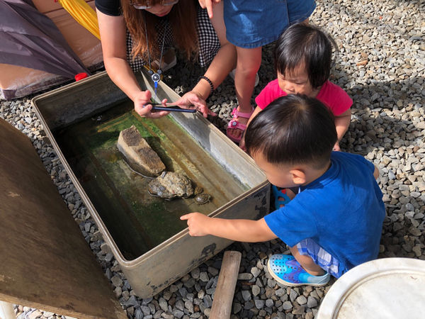 《恆春住宿》亞森川渡假民宿|夜間潮間帶探險與古城導覽
