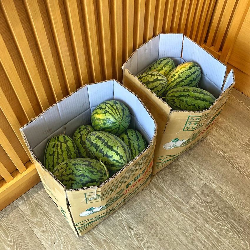 嘉義人氣飲料【小丸煮食茶專門】涼夏西瓜季新品消暑新上市 ! 「銀波布丁奶茶」最強聯名款讓你一次滿足飲料與甜點雙享受 | 小白只饗ㄔ美食