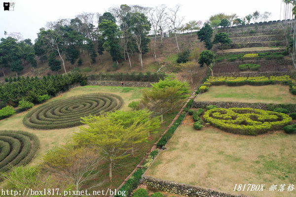 【南投。名間】同心雙圓茶園。蚊香茶園。來點一環茶香蚊香吧！空拍視野