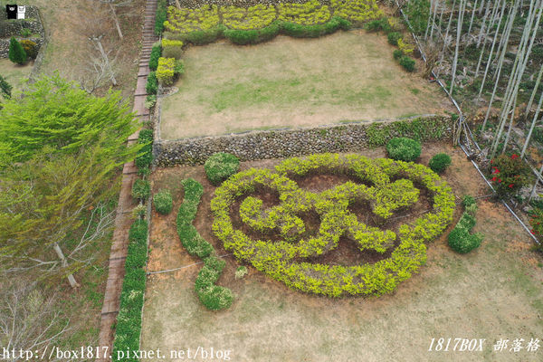 【南投。名間】同心雙圓茶園。蚊香茶園。來點一環茶香蚊香吧！空拍視野