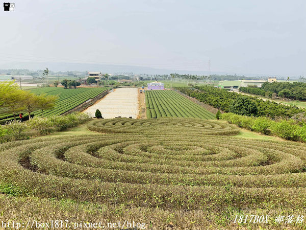 【南投。名間】同心雙圓茶園。蚊香茶園。來點一環茶香蚊香吧！空拍視野