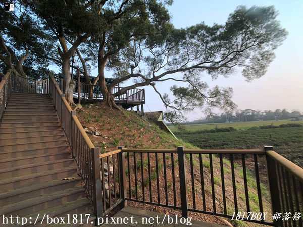 【南投。名間】七星陣地公園。軍事防空碉堡。結合軍武火炮設施。欣賞「茶的故鄉」松嶺茶園風光