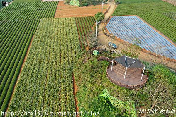 【南投。名間】七星陣地公園。軍事防空碉堡。結合軍武火炮設施。欣賞「茶的故鄉」松嶺茶園風光