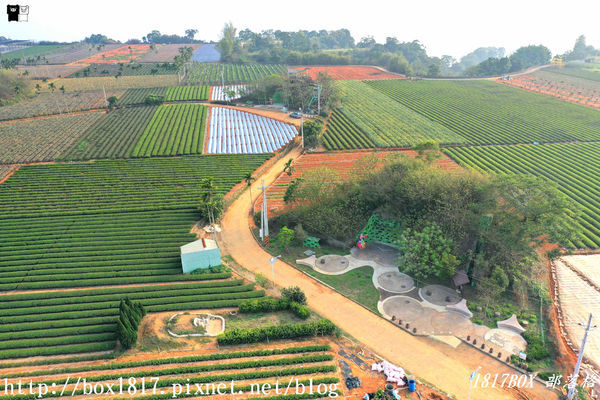 【南投。名間】七星陣地公園。軍事防空碉堡。結合軍武火炮設施。欣賞「茶的故鄉」松嶺茶園風光