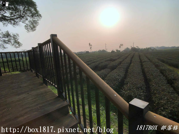 【南投。名間】七星陣地公園。軍事防空碉堡。結合軍武火炮設施。欣賞「茶的故鄉」松嶺茶園風光