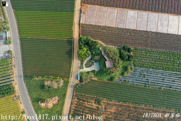 【南投。名間】七星陣地公園。軍事防空碉堡。結合軍武火炮設施。欣賞「茶的故鄉」松嶺茶園風光