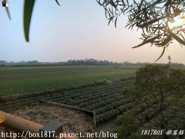 【南投。名間】七星陣地公園。軍事防空碉堡。結合軍武火炮設施。欣賞「茶的故鄉」松嶺茶園風光