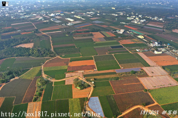 【南投。名間】七星陣地公園。軍事防空碉堡。結合軍武火炮設施。欣賞「茶的故鄉」松嶺茶園風光