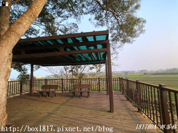 【南投。名間】七星陣地公園。軍事防空碉堡。結合軍武火炮設施。欣賞「茶的故鄉」松嶺茶園風光