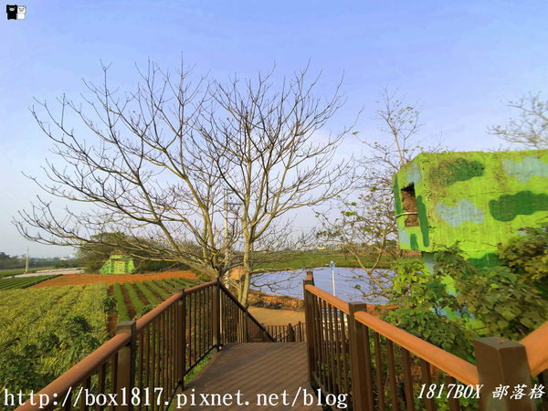 【南投。名間】七星陣地公園。軍事防空碉堡。結合軍武火炮設施。欣賞「茶的故鄉」松嶺茶園風光