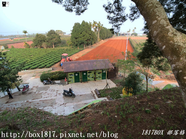 【南投。名間】七星陣地公園。軍事防空碉堡。結合軍武火炮設施。欣賞「茶的故鄉」松嶺茶園風光